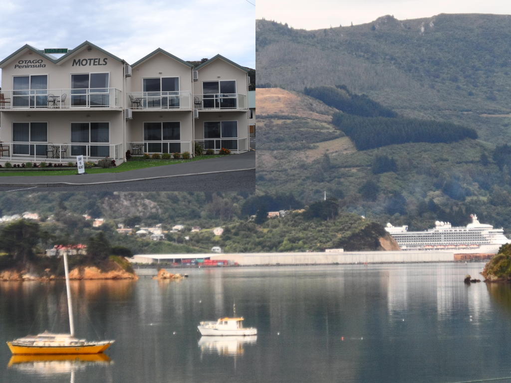 Otago Peninsula Motel Portobello Exterior photo